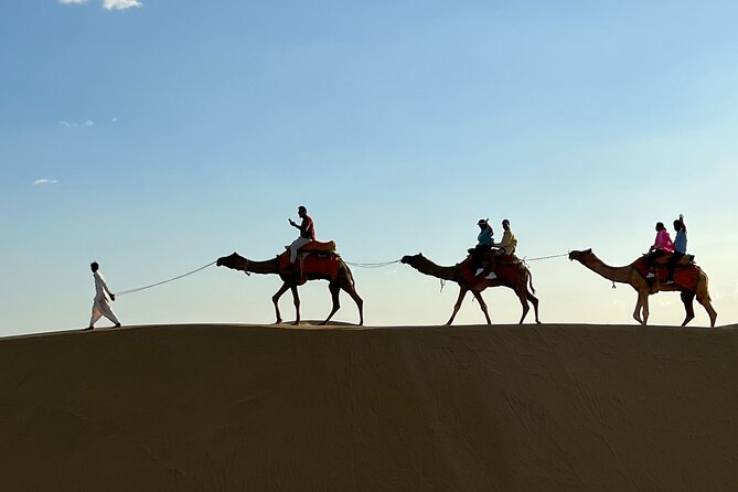 Overnight Camel Safari in Thar Desert - Price and Value at Around $39 for a 20-Hour Adventure