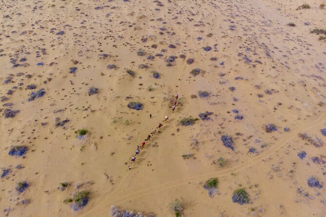 Overnight Camel Safari - Sleeping under the Stars - Key Highlights You Should Know