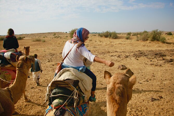 Overnight Camel Safari - Sleeping under the Stars - From Jaisalmer Departure to the Dunes, Here Is the Flow