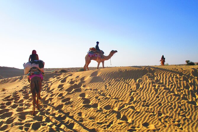 Overnight Camel Safari - Sleeping under the Stars - Sunset Camel Ride: Watching the Desert Slow Down