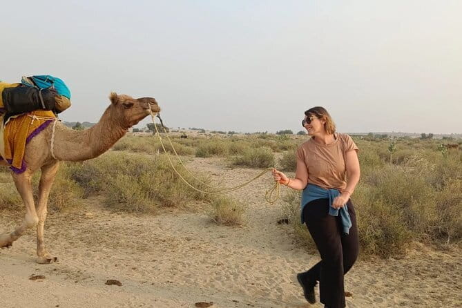 Overnight Camel Safari Tour - Key Highlights to Know Before You Go