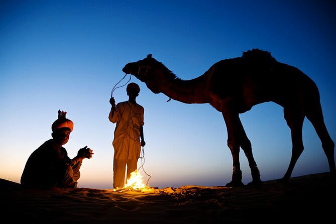 Overnight Camel Safari Tour - The Day 2 Plan: Sunrise, Second 90-Minute Camel Ride, Back to Jaisalmer
