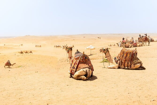 Overnight Camel Safari Tour - What Included Meals Feel Like in the Desert
