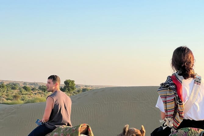 Overnight Desert Adventure Safari - Morning Departure - Key Highlights You Can Actually Plan Around