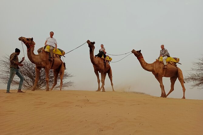 Overnight Desert Stay with Camel Safari and Homemade Food - OM - Bonfire night under stars: tea, snacks, and optional folk music
