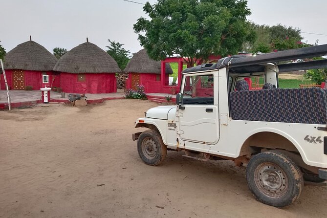 Overnight Desert Stay with Camel Safari and Homemade Food - OM - Price and value: what $65 buys in a private desert homestay