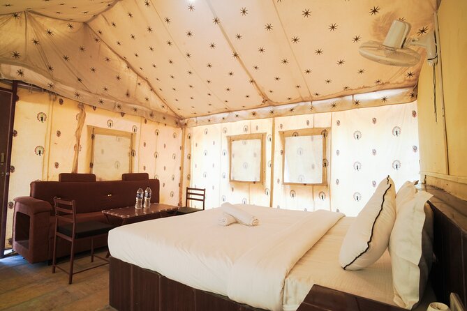 Overnight Stay in a luxury Camp with a cultural show & dinner. - Price and Value: Why About $120 Can Make Sense