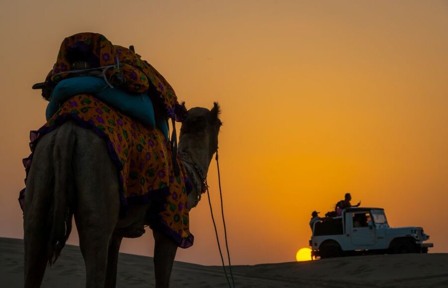 Peeps Billions of Star Experience with Desert & Camel Safari - Day 2: Sunrise tea, a healthy breakfast, and the second camel ride back to town