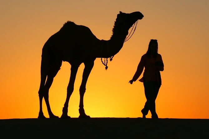 Pleasant Sunset Safari With Dinner On Dunes (From 2:00 PM to Approx. 10:00 PM) - Key Things That Make This Safari Worth Your Time
