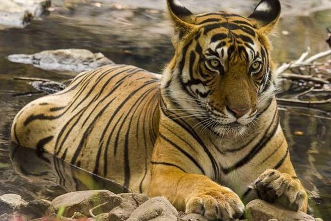 Private 4-Day Wildlife & Taj Mahal Tour from Jaipur to Delhi - Day 2: Keoladeo Ghana Bird Sanctuary by Rickshaw, Then Fatehpur Sikri