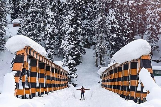 Private 5-Day Charming Kashmir Package Tour from Srinagar - A 5-day private run of Srinagar, Pahalgam, and Gulmarg
