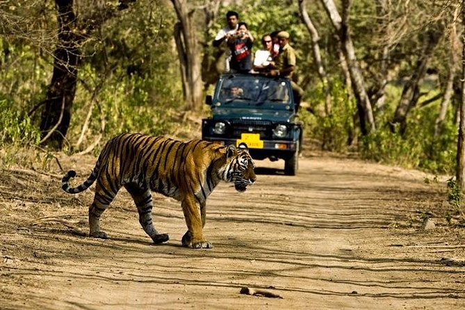 Private 5-Day Ranthambhore Tiger Tour from Delhi including the Taj Mahal, Agra and Jaipur - Day 1 in Delhi: Humayun’s Tomb, Qutub Minar, Lotus Temple, and India Gate