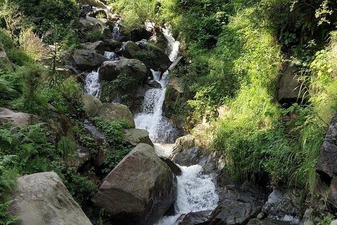 Private 6 hrs Mcleodganj & Dharamshala City Tour - A 6 to 7 Hour Loop That Fits a Short Stay