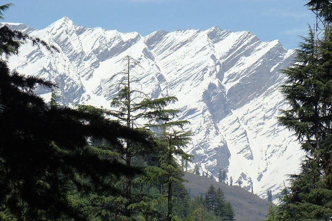 Private 7 Days Shimla Manali Hill Stations Tour From Chandigarh - Day 2: Shimla and Kufri, From Colonial Streets to Pine Views