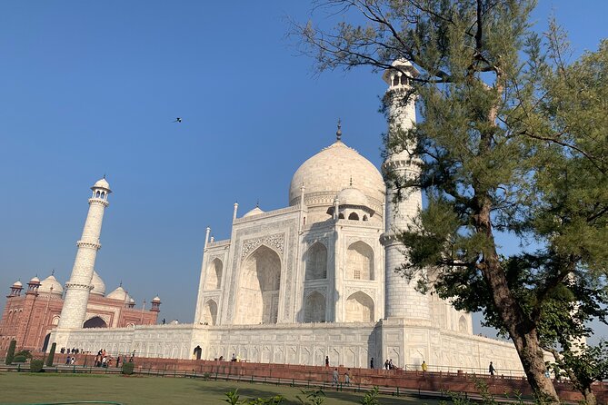 Private Agra Tour - Taj Mahal, Agra Fort & Baby Taj (Daytrip from Delhi) - The driver and guide experience: what “smooth” looks like
