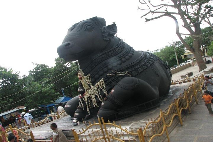 Private Full Day Bangalore City Tour - Price and Value: What $74 Really Covers (and What It Doesn’t)