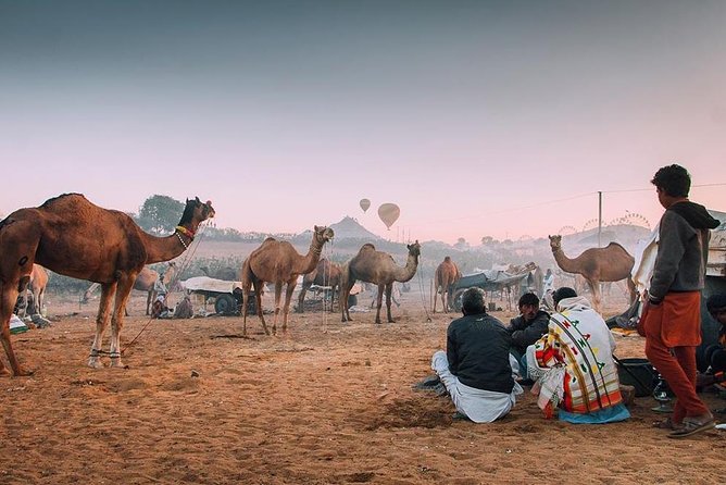 Private Full Day Jaipur Sightseeing Tour By Tuk-Tuk (Rickshaw) - Jaipur by tuk-tuk: why this day format feels right