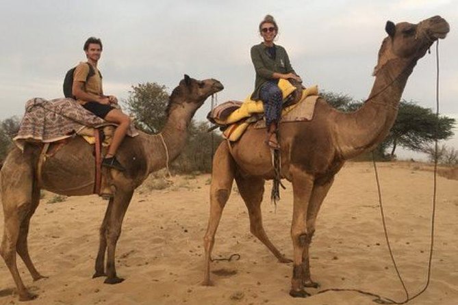 Private Full-Day Jodhpur City Tour and Desert Safari - Pickup, Timing, and How the 10-Hour Flow Works