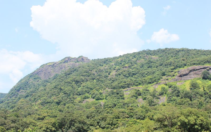 Private Full day Nandi Hill Excursion with Lunch - Key highlights to look for on this Nandi Hills day