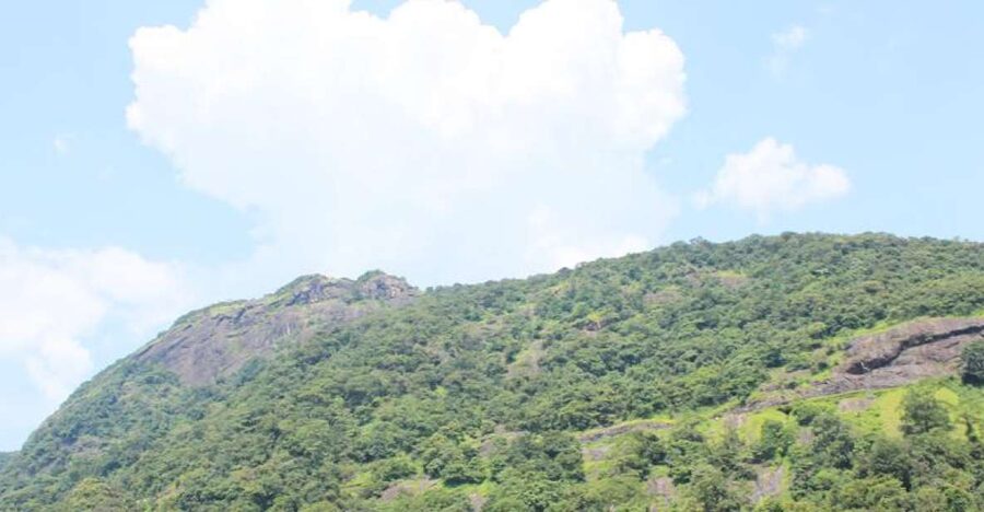 Private Full day Nandi Hill Excursion with Lunch - Pickup timing and the drive that sets the tone