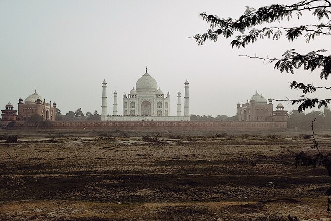 Private Full-Day Taj Mahal and Agra Fort Tour from New Delhi - Price and Value: How to Think About $76.08 per Person