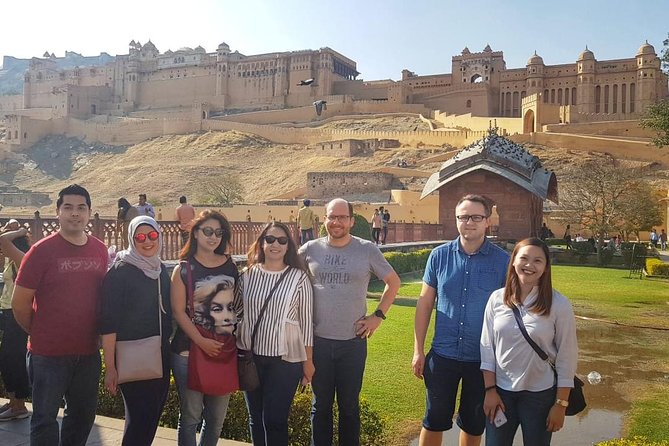 Private Guided Sightseeing Tour of Jaipur Highlights - Albert Hall Museum for a Cultural Reset
