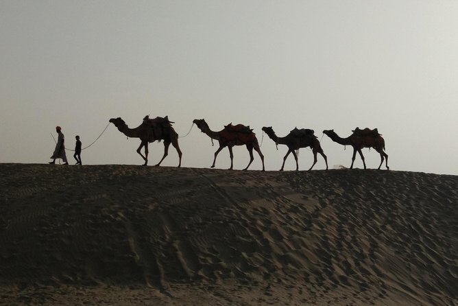 Private Heritage Walking Tour in Jaisalmer Fort and Old Bazaar - A Private Tour Led by Lalu, English and German Included