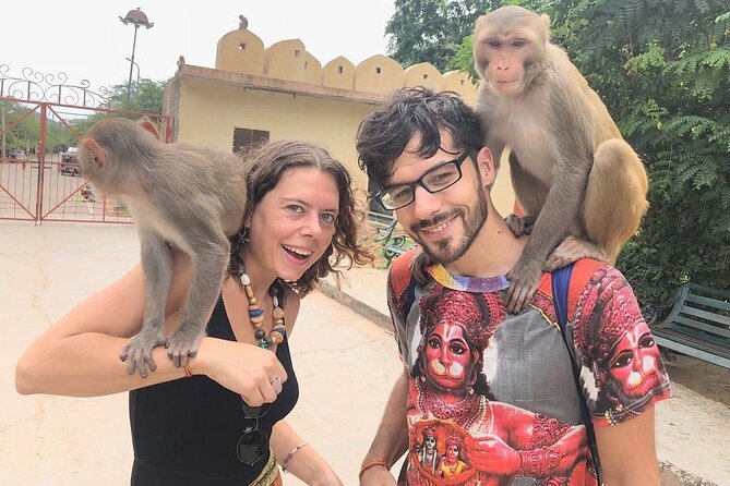Private Jaipur Tuk-Tuk Tour with Monkey Temple - Amer (Amer Fort Area): Starting With a Grand, Scenic Anchor