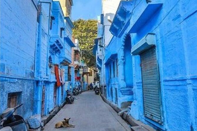 Private Jodhpur Blue City Tour With Private Tour Guide - Mehrangarh Fort: Palaces, Courtyards, and the Best Views Over Jodhpur