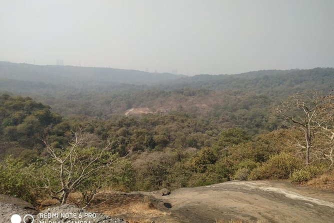 Private Kanheri- Buddhist Cave Tour - Small downsides and planning tips that make the day smoother