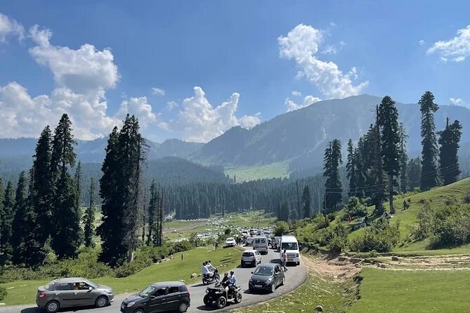 Private Kashmir Family 7-Day Tour - Private Kashmir Family Tour: the big idea and what you get for the price