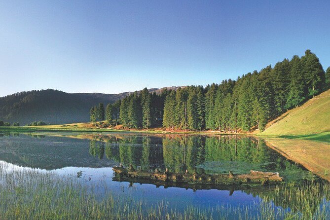 Private Kashmir Family 7-Day Tour - Gulmarg at 2,730 m: the drive, the snow zone, and gondola cost control
