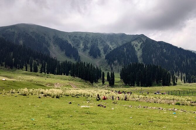 Private Kashmir Family 7-Day Tour - Day 1 in Srinagar: Dal Lake, houseboat vibes, and easy evening freedom