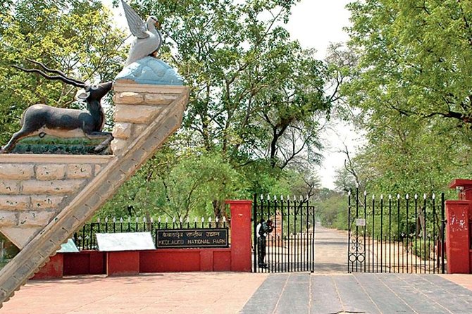 Private Keoladeo National Park Tour sightseeing - All Inclusive - Manoj and the difference a good bird guide makes