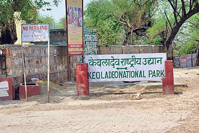 Private Keoladeo National Park Tour sightseeing - All Inclusive - Inside the park: how a guided rickshaw visit changes the experience