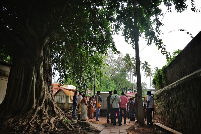 Private Kingdom of Gods Trail Walking Tour - A Kingdom of Gods trail that feels like a guided story, not a sightseeing checklist