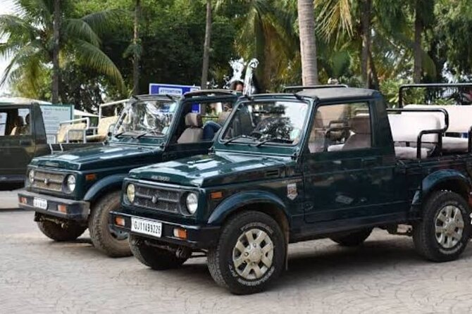 Private Lion Safari in the Gir National Park in Gujarat - The Safari Plan: Your Private Jeep Time in Gir National Park