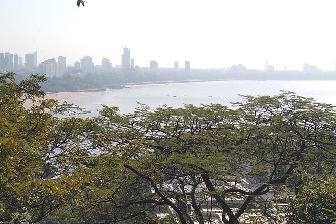 Private Mumbai City Tour - University of Mumbai Library and MCGM Office for the civic Mumbai angle