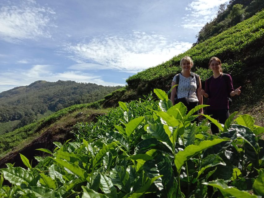 Private Munnar Tea Trek - Lakshmi Hills viewpoints, breeze, and the bird and wildlife factor