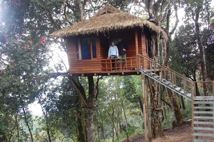 Private Munnar Tea Trek - Guided tea learning: tea-maker style, plus history in plain language