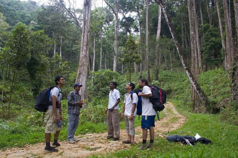 Private Munnar Tea Trek - Should you book this Private Munnar Tea Trek?