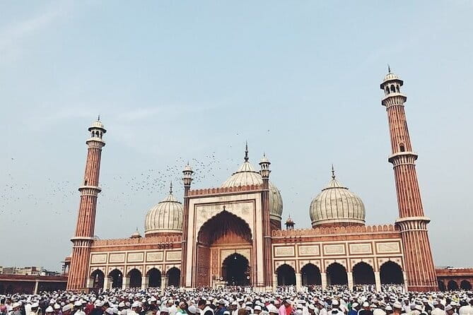 Private New Delhi & Old Delhi Half-day Tours - Price and logistics, what you really get for $5