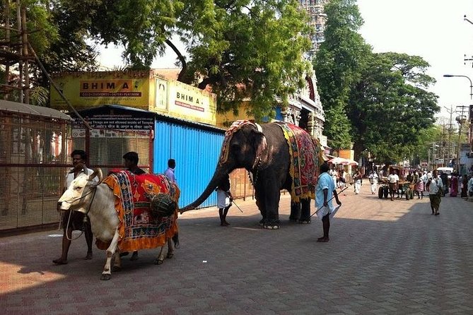 Private Once Upon A Madurai Trail Walking Tour - Where the tour starts, and why the meeting point matters
