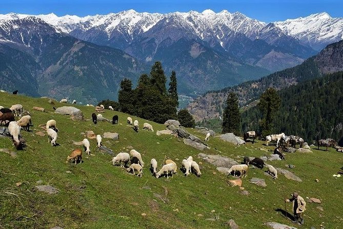 Private One Day Hiking Trip in Manali, Scenic Mountain Trail in Manali - Handling the 2000m altitude gain without turning it into misery