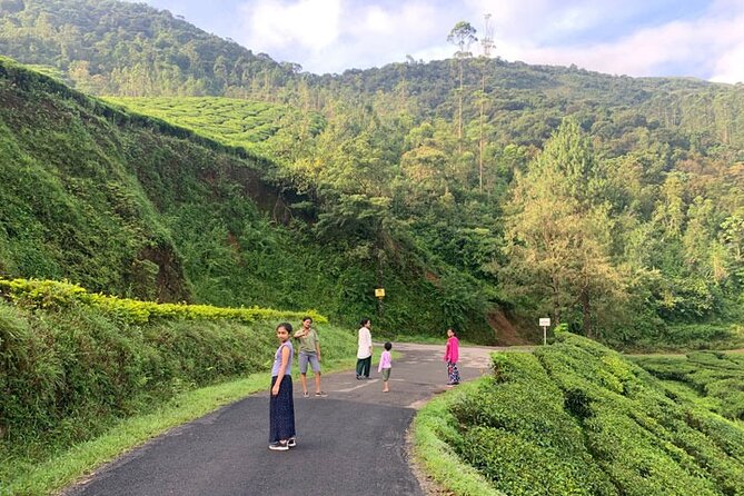 Private One Week Kerala Tour - Key highlights to watch for