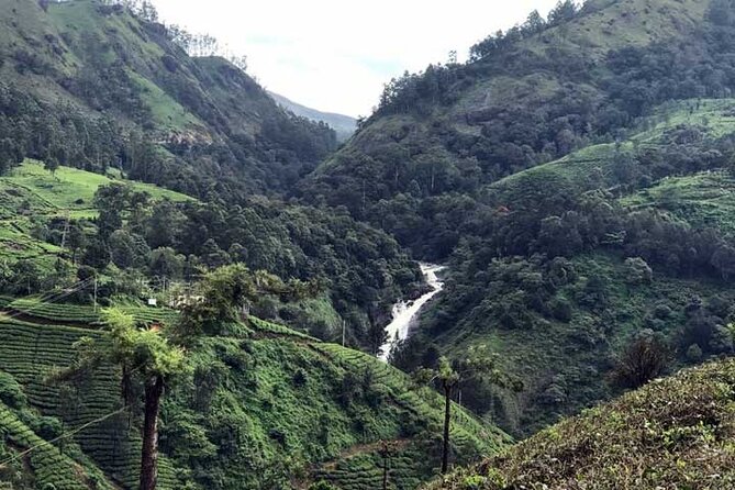 Private One Week Kerala Tour - Day 2 in Munnar: tea museum first, then the hill station reset