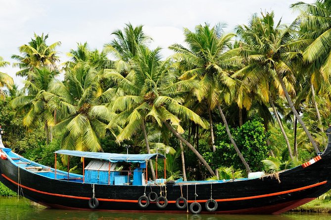Private Overnight Alleppey Houseboat Cruise from Kochi - Food onboard: Kerala classics, tea breaks, and that supper shrimp moment