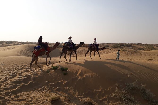 Private Overnight Safari Tour with Camel Ride - Quick hits before you go
