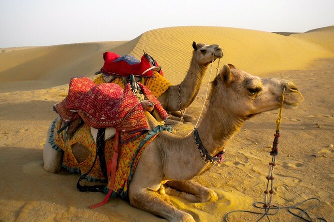 Private Overnight Safari Tour with Camel Ride - Jaisalmer Thar Desert: what this overnight format gives you