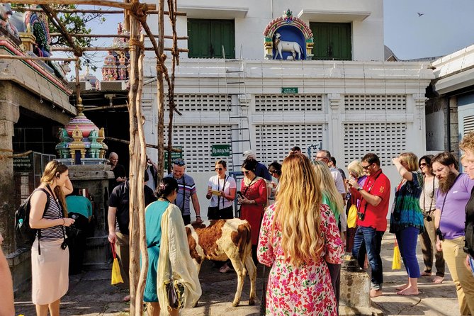Private Peacock Trail Walking Tour in Mylapore - Kapaleeshwarar Temple: what you’ll learn and how to prepare